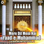 Mere Dil Mein Hai Yaad-e-muhammad, Vol. 1 cover image