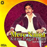 Mere Naina Kitne Pagal Hain, Vol. 2 cover image