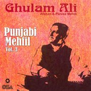 Punjabi Mehfil, Vol. 3 cover image