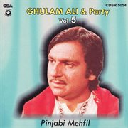 Punjabi Mehfil, Vol. 5 cover image