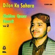 Dilon Ka Sahara cover image