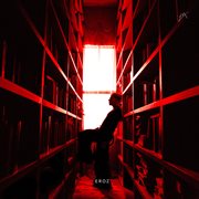 Eroz cover image