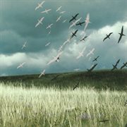 Can We Share? cover image