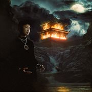 陕西乐器 陕西乐器