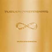 Flatland Forever(more) cover image