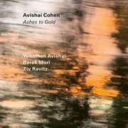 Ashes To Gold cover image