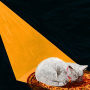 Permanent pleasure cover image