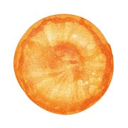 Uchu Best Of Fishmans cover image