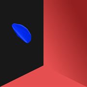 The information cover image