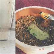 Time Acid No Cry Air cover image