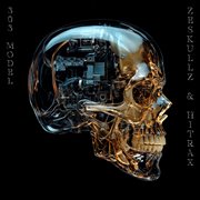 303 Model cover image