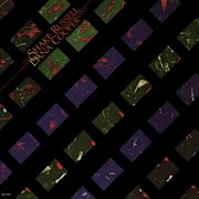 The Shake Russell - Dana Cooper Band cover image