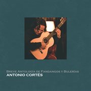 Breve Antología De Fandangos Y Bulerías cover image