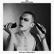 Throwing Stones cover image