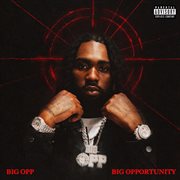 Big Opportunity cover image