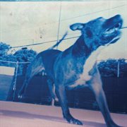 Still Blank cover image