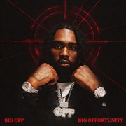 Big Opportunity cover image