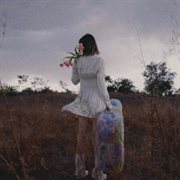 青番茄 cover image