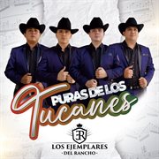 Puras De Los Tucanes cover image