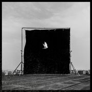 Where Are You Going cover image