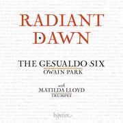 Radiant Dawn cover image