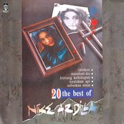 20 Best Of Nike Ardilla cover image