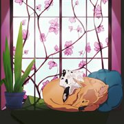 What's Tomorrow Like? cover image