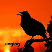 Singing cover image