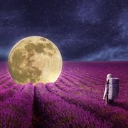 Endless Sky cover image