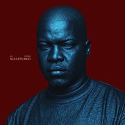 Sculptured cover image