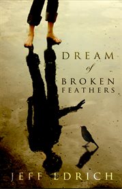 Dream of broken feathers cover image
