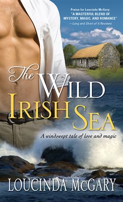 Cover image for The Wild Irish Sea
