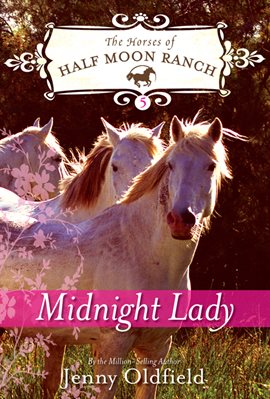Cover image for Midnight Lady