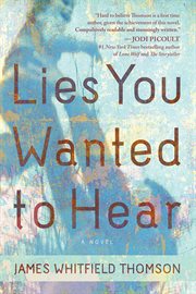 Lies you wanted to hear a novel cover image
