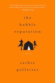 The bubble reputation a novel cover image