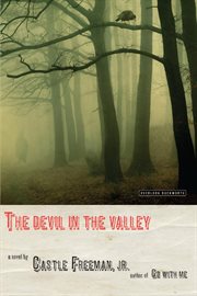 The devil in the valley : a novel cover image