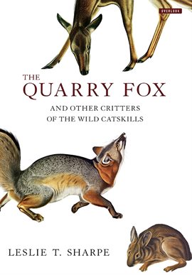 Cover image for The Quarry Fox