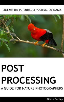 Cover image for Post Processing