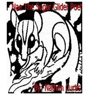 Nae the sugar glider poet cover image