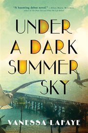 Under a dark summer sky a novel cover image