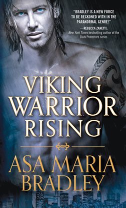 Cover image for Viking Warrior Rising