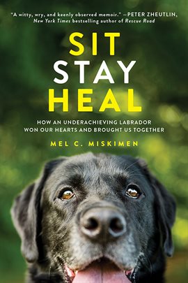 Cover image for Sit Stay Heal