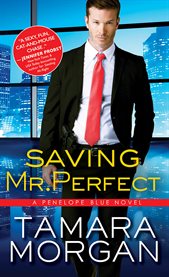 Saving Mr. Perfect cover image