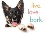 Live. Love. Bark cover image