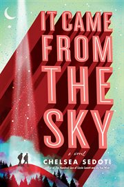 It came from the sky : a novel cover image