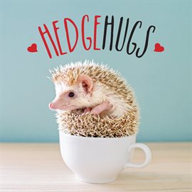 Cover image for Hedgehugs