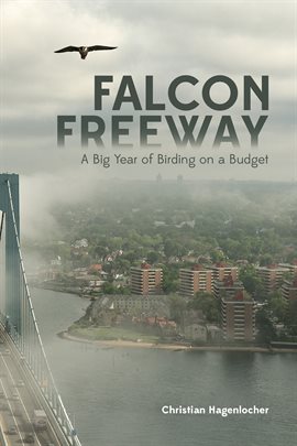 Cover image for Falcon Freeway