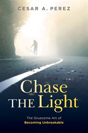 Chase the light cover image