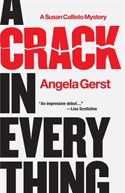 A crack in everything : a Susan Callisto mystery cover image