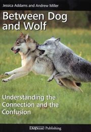 Between dog and wolf : understanding the connection and the confusion cover image